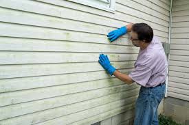 Best Siding Removal and Disposal  in Wilton Manors, FL